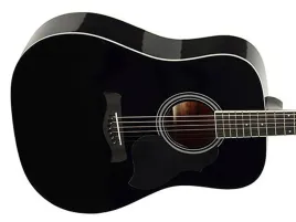 gitara-akustyczna-richwood-rd-12-bk