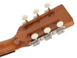 gitara-akustyczna-richwood-hsp-40-hb-marka-richwood-stan-nowy
