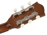 gitara-akustyczna-richwood-hsa-40-hb-marka-richwood-stan-nowy