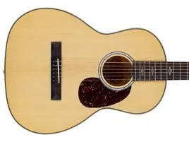gitara-akustyczna-richwood-rp-27-nt
