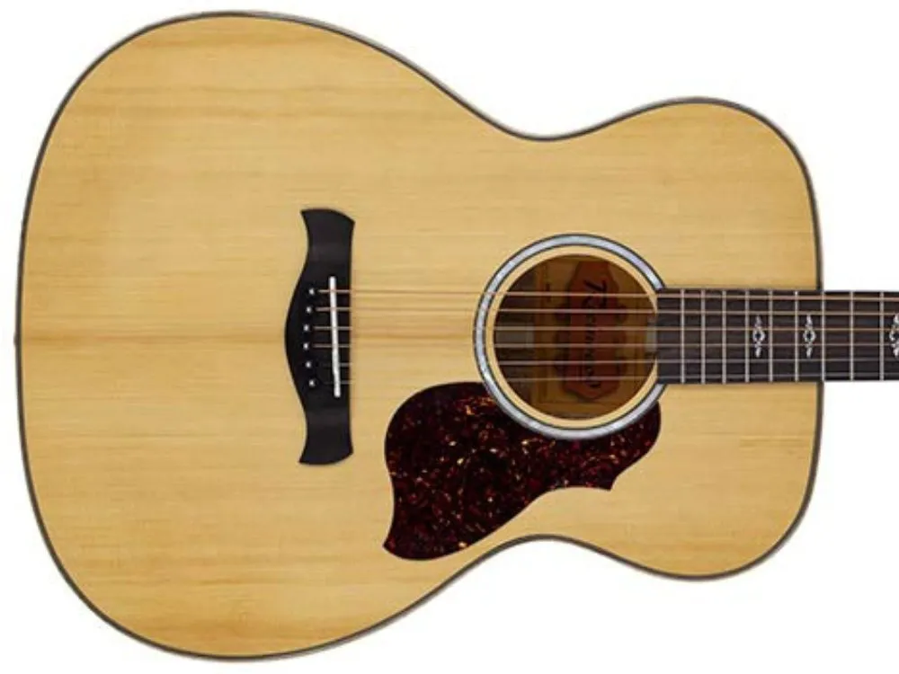 gitara-akustyczna-richwood-ra-27-nt-stan-nowy