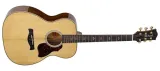 gitara-akustyczna-richwood-ra-27-nt-marka-richwood