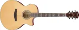 gitara-elektro-akustyczna-ibanez-ae170-ntr-stan-nowy