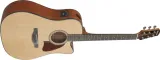 gitara-elektro-akustyczna-ibanez-aad51ce-nt-kod-producenta-aad51ce-nt