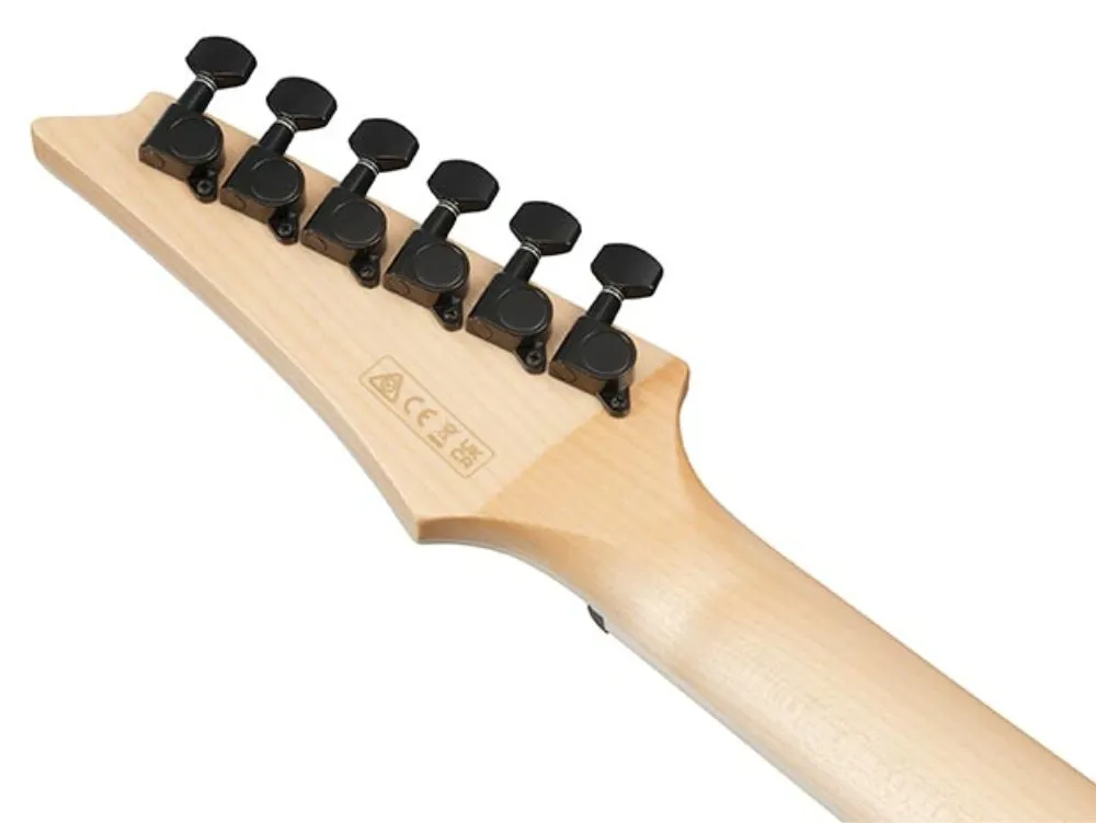 gitara-elektro-akustyczna-ibanez-alt50fa-bdb