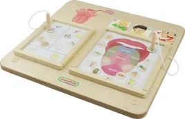 masterkidz-tablice-edukacyjna-zmysl-smaku