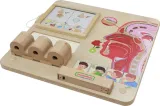 masterkidz-tablica-edukacyjna-zmysl-wechu