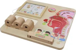 masterkidz-tablica-edukacyjna-zmysl-wechu