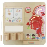 masterkidz-tablica-edukacyjna-zmysl-wechu-stan-nowy