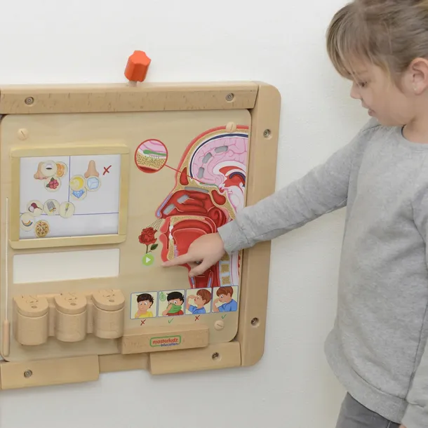 masterkidz-tablica-edukacyjna-zmysl-wechu-stan-nowy-marka-inna
