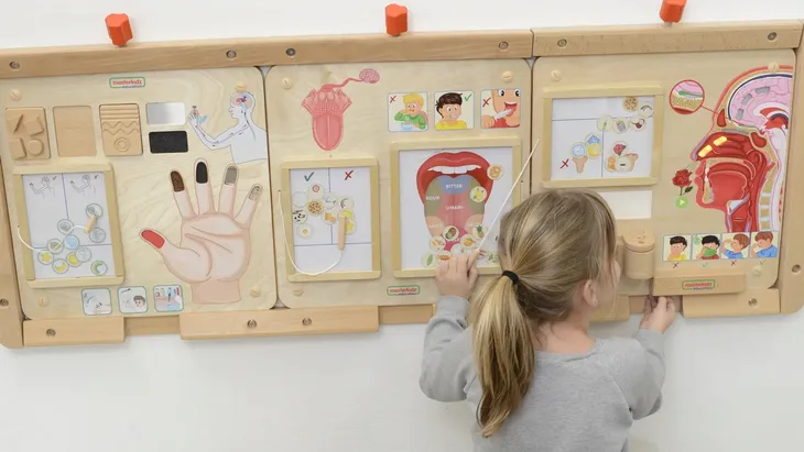 masterkidz-tablica-edukacyjna-zmysl-wechu-stan-nowy-plec-brak-informacji