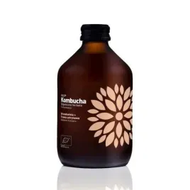 vigo-yoko-kombucha-z-brzoskwinia-i-trawa-cytrynowa-330-ml-bio