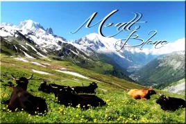 francja-mont-blanc-magnes-na-lodowke