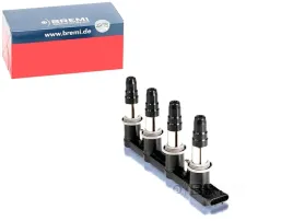 cewka-zaplonowa-bremi-20499