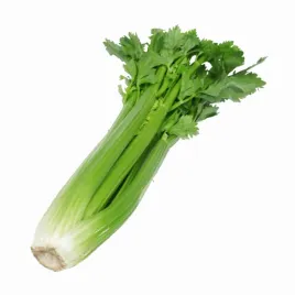 seler-naciowy-swiezy-1-sztuka