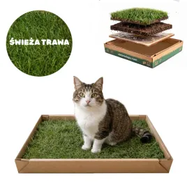 kuweta-dla-kota-z-naturalnej-trawy-50x25-cm-toaleta-ekologiczna