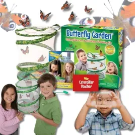 hodowla-motyli-domowa-farma-zestaw-do-hodowli-prezent-na-dzien-dziecka