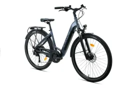 rower-elektryczny-e-bike-city-29-kands-aspen-cues-hydr-r18-grafitowy-my2026