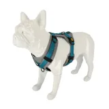 dingo-szelki-dla-psa-ultra-active-czarny-xxs-marka-dingo