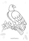 maluszkowe-malowanie-ptaki
