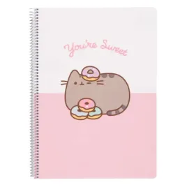 notes-pusheen-a4-w-kratke