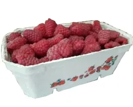 pojemniki-na-maliny-borowki-owoce-500g-400szt