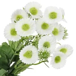 bukiet-kwiatow-stokrotki-biale-12-sztuk-kwiatki-wiosna-30cm-stokrotka-biala