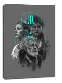 star-wars-gwiezdne-wojny-ii-generacja-obraz-na-plotnie-30x40-cm