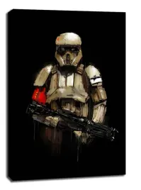 star-wars-gwiezdne-wojny-szturmowiec-obraz-na-plotnie-90x120-cm