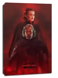 star-wars-gwiezdne-wojny-ostatni-jedi-bohaterowie-obraz-na-plot