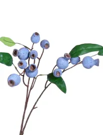 galazka-z-owocami-eukaliptus-79cm-sliwkowa