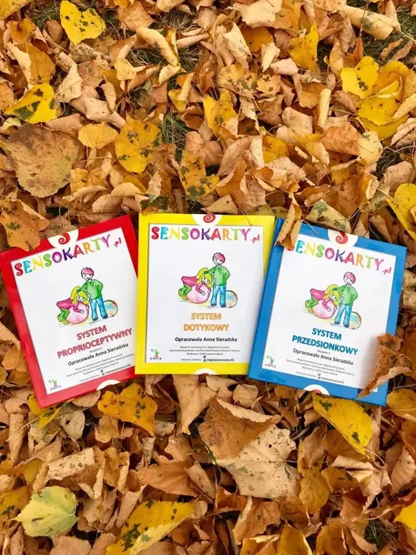 sensokarty-system-dotykowy-empis-plec-chlopcy-dziewczynki