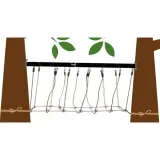 most-linowy-small-foot-design-marka-inna