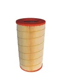 filtr-powietrza-daf