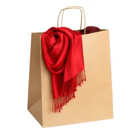 torby-torba-papierowe-a4-eko-240x100x320-biurowe-24x10x32-50szt