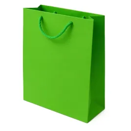 torba-laminowana-jasnozielona-240x9x320-idealna-na-prezent-1-szt