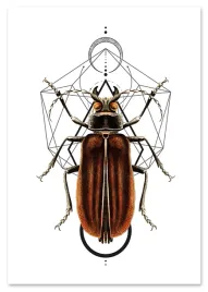 plakat-cyfrowy-do-wydruku-robak-geometria