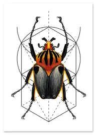 plakat-cyfrowy-do-wydruku-geometria-zuk