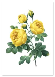 plakat-cyfrowy-do-wydruku-zolte-roze