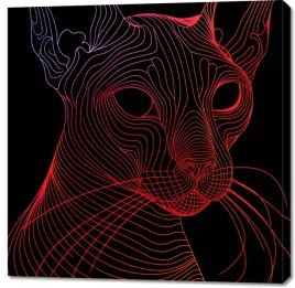 obraz-100x100cm-cyfrowa-kocica