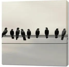 obraz-100x100cm-konferencja-na-wysokosciach