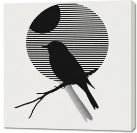 obraz-100x100cm-kontrast-smuklosci