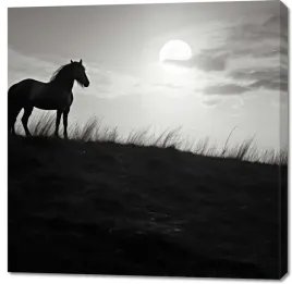 obraz-100x100cm-ksiezycowa-straz