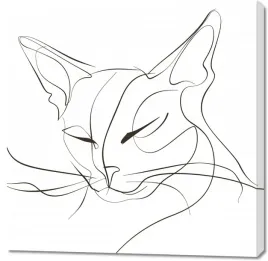 obraz-100x100cm-linijny-kot