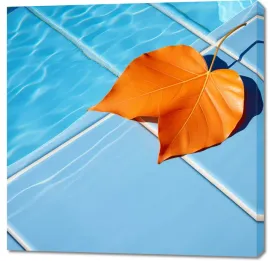 obraz-100x100cm-lisc-przy-wodzie