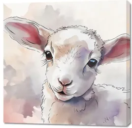 obraz-100x100cm-mala-owieczka