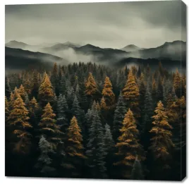 obraz-100x100cm-mglisty-poranek