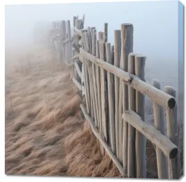 obraz-100x100cm-mgla-nad-wydmami