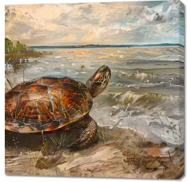 obraz-100x100cm-nadmorski-zolw