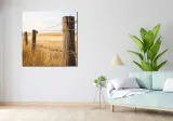 obraz-100x100cm-plot-na-polu-stan-nowy